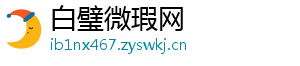 白璧微瑕网